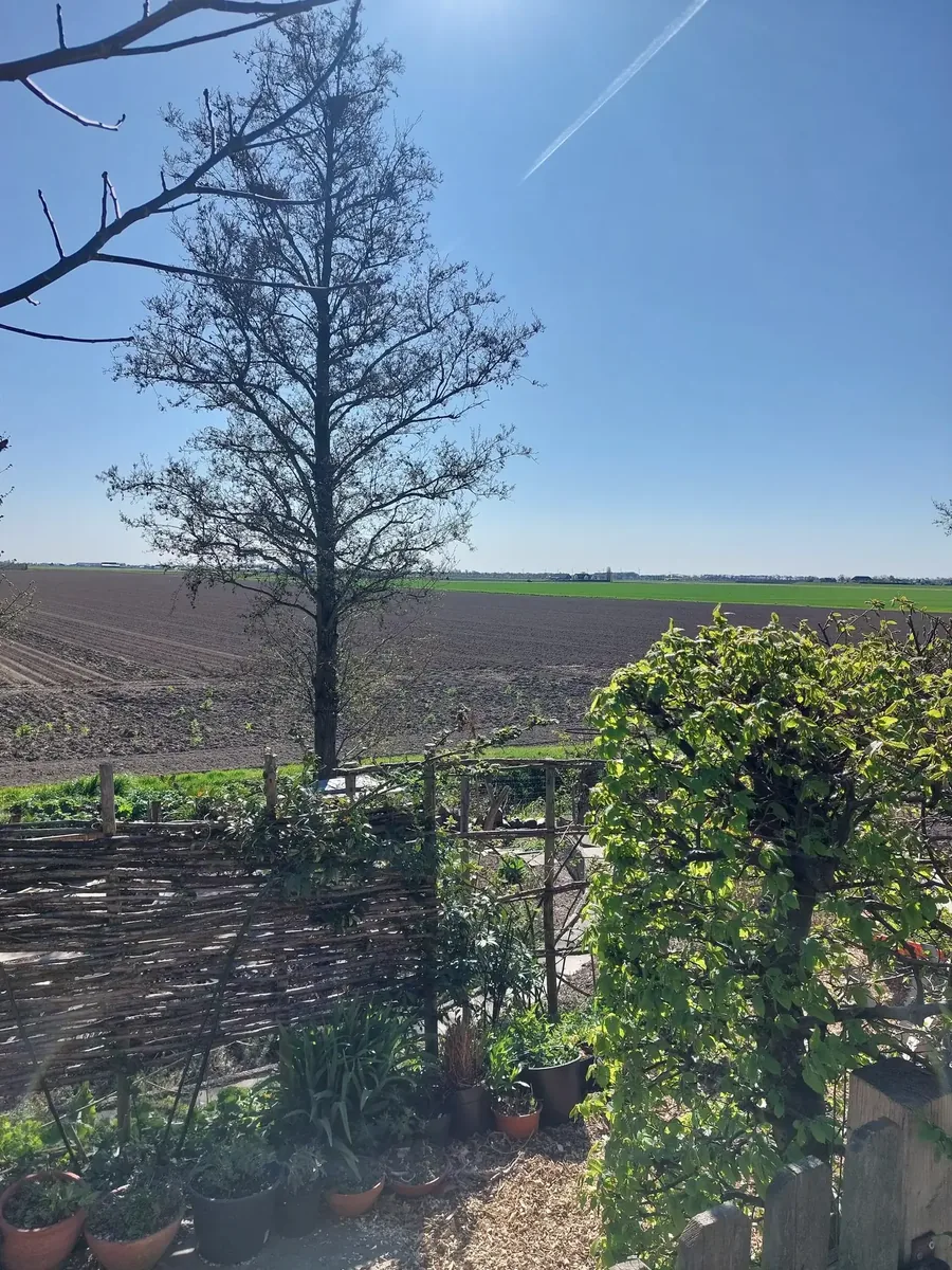 Buurtschap Zinkweg